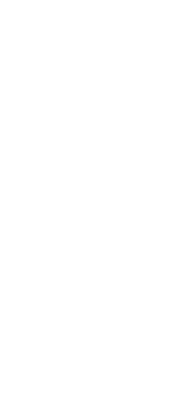 天才
